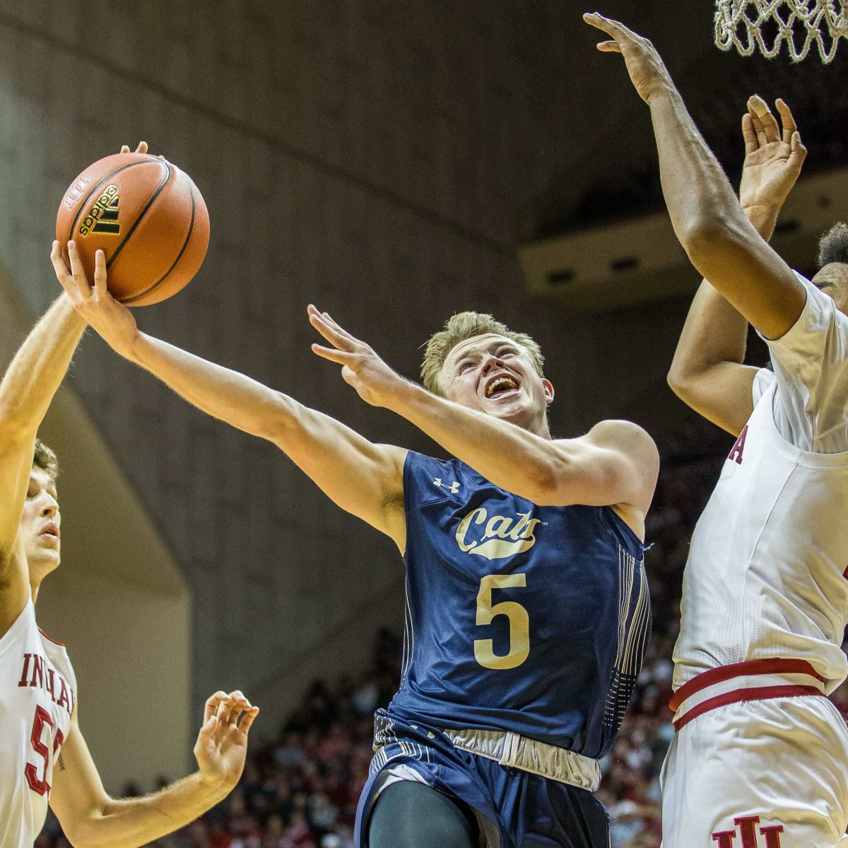 UC Riverside (UCR) vs. Montana State Prediction, Preview, and Odds – 11-22-2023