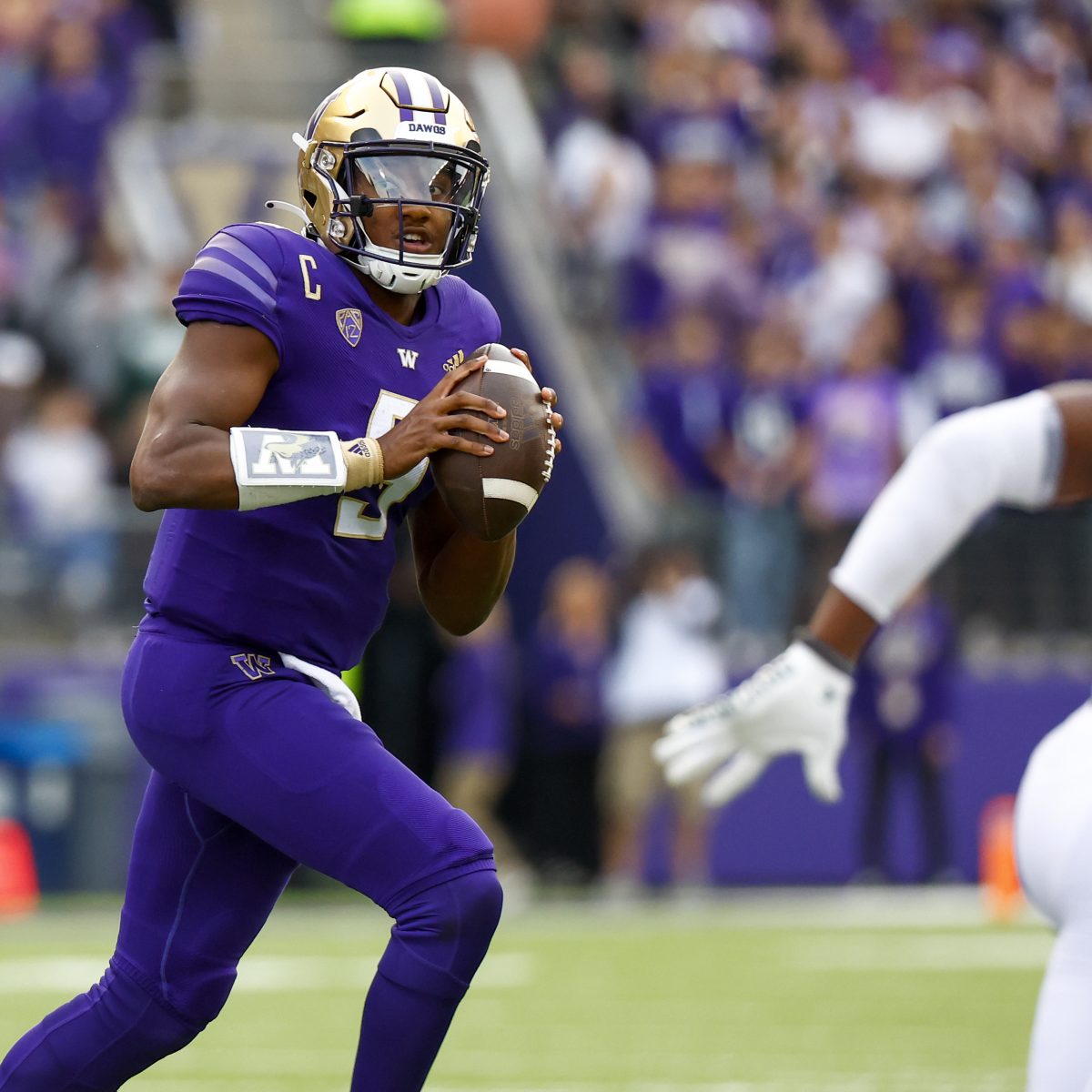 Stanford vs. Washington Prediction, Preview, and Odds – 9-24-2022