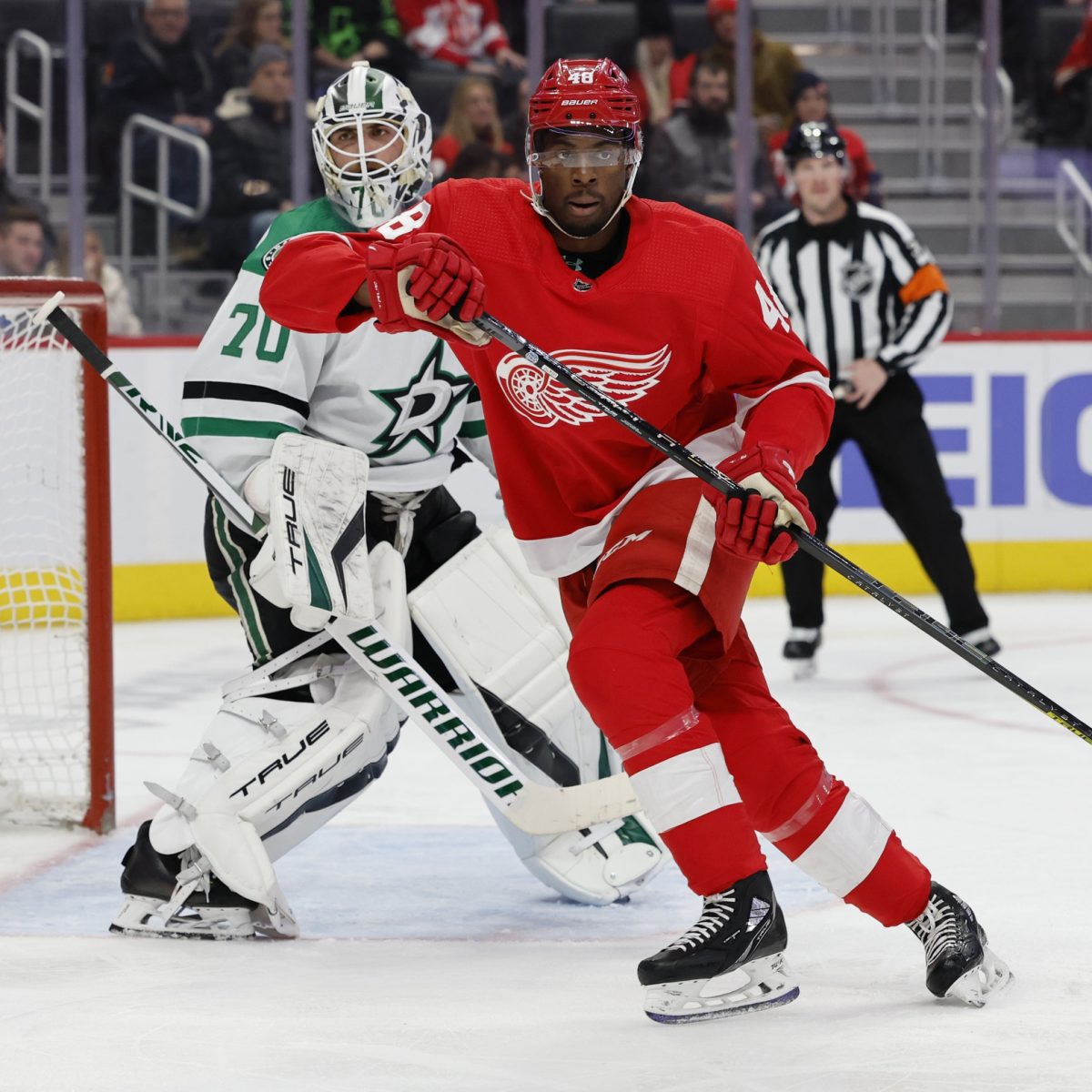 Detroit Red Wings vs. Dallas Stars Prediction, Preview, and Odds – 12-10-2022