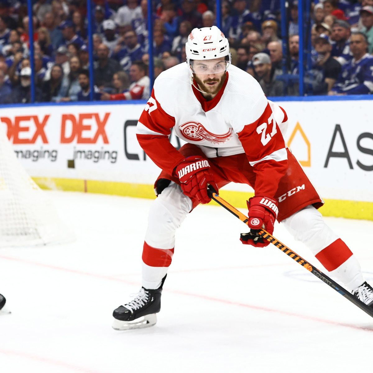 Carolina Hurricanes vs. Detroit Red Wings Prediction, Preview, and Odds – 12-13-2022