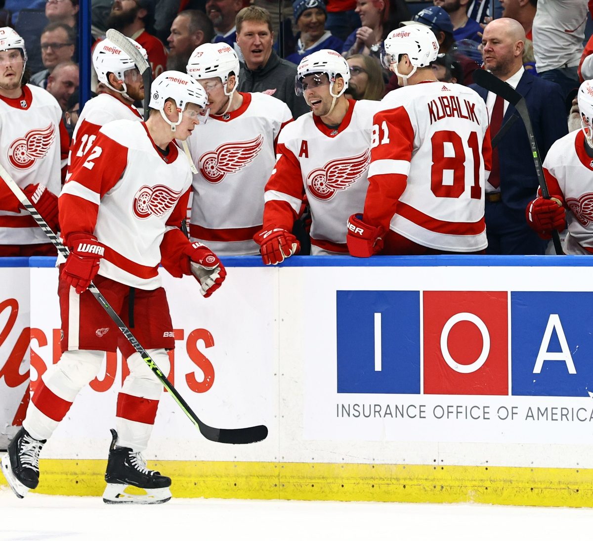 Detroit Red Wings vs. Florida Panthers Prediction, Preview, and Odds - 12-8-2022