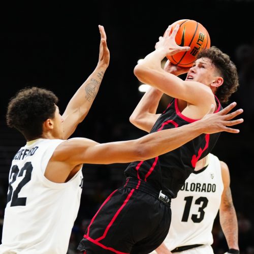 Liberty vs Wisconsin Predictions