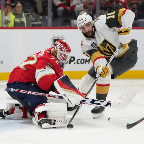 Panthers vs Golden Knights Predictions & Best Bets