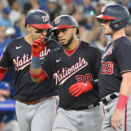 

Chicago White Sox vs. Washington Nationals: What to Expect From This Interleague Series?