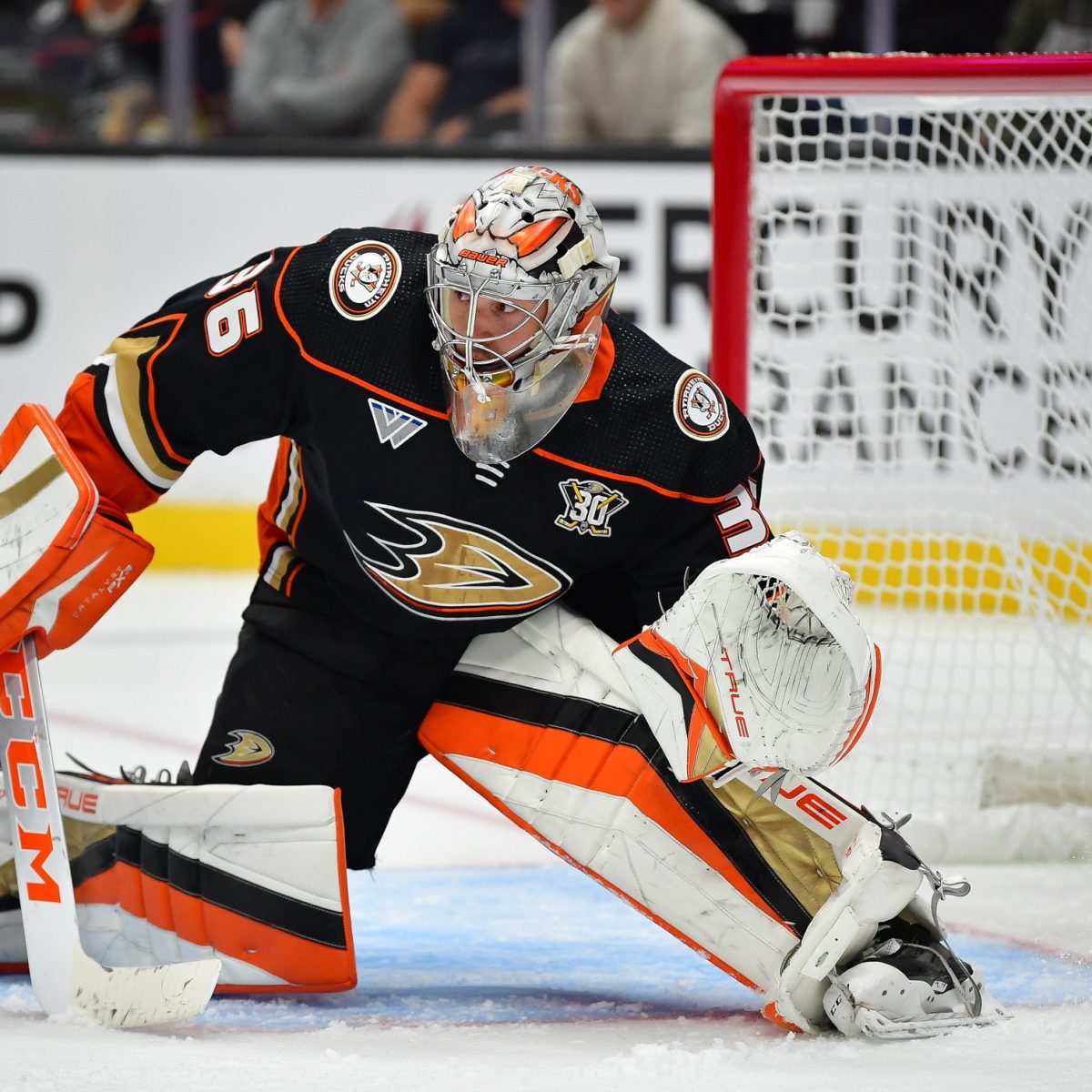 Dallas Stars vs. Anaheim Ducks Prediction, Preview, and Odds – 10-19-2023