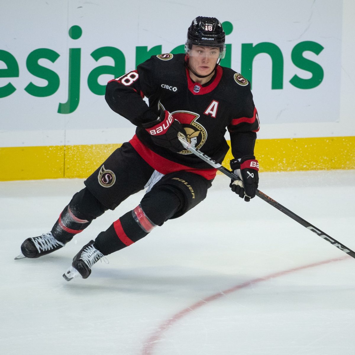 Minnesota Wild vs. Ottawa Senators Prediction, Preview, and Odds – 11-18-2023