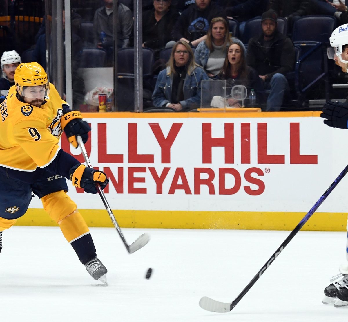 Minnesota Wild vs. Nashville Predators Prediction, Preview, and Odds – 11-30-2023