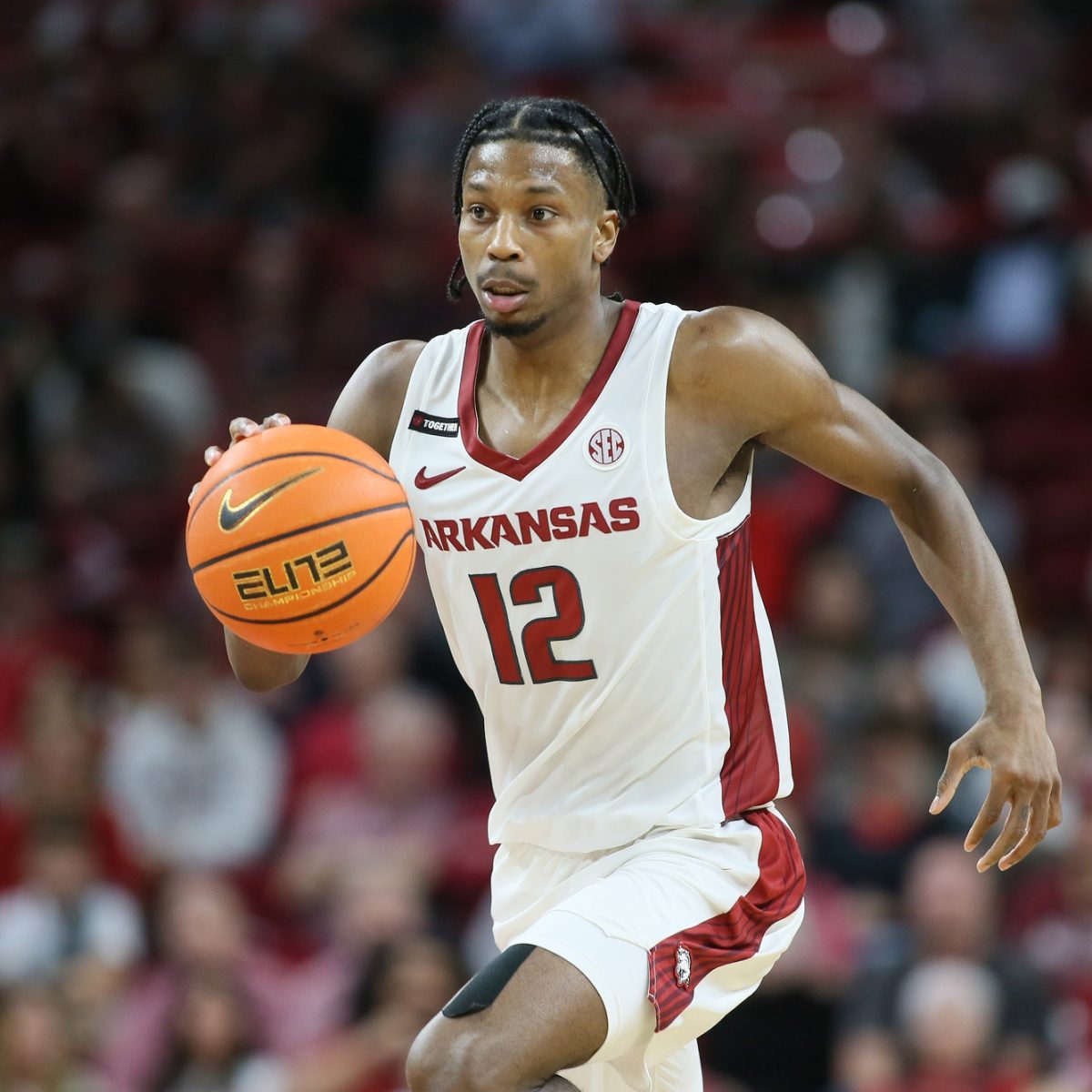 UNCW vs. Arkansas Prediction, Preview, and Odds – 12-30-2023