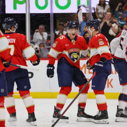 Florida Panthers Favored to Secure Victory Against Buffalo Sabres in Season Finale