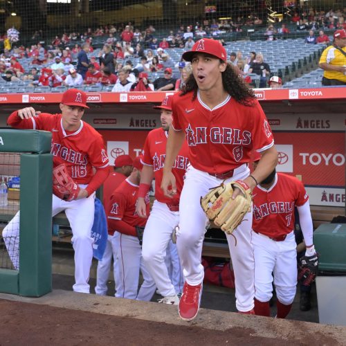 Los Angeles Angels Favored to Secure Series Win Against Detroit Tigers on Sunday, Betting Odds in Their Favor