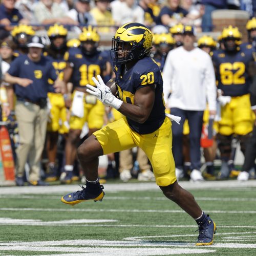 Michigan Wolverines Favored to Win Big10 Matchup Against Minnesota Golden Gophers at The Big House