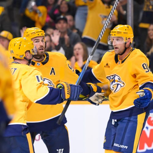 Nashville Predators Seek First Win Against Boston Bruins on the Road: Betting Favorite Despite Winless Record