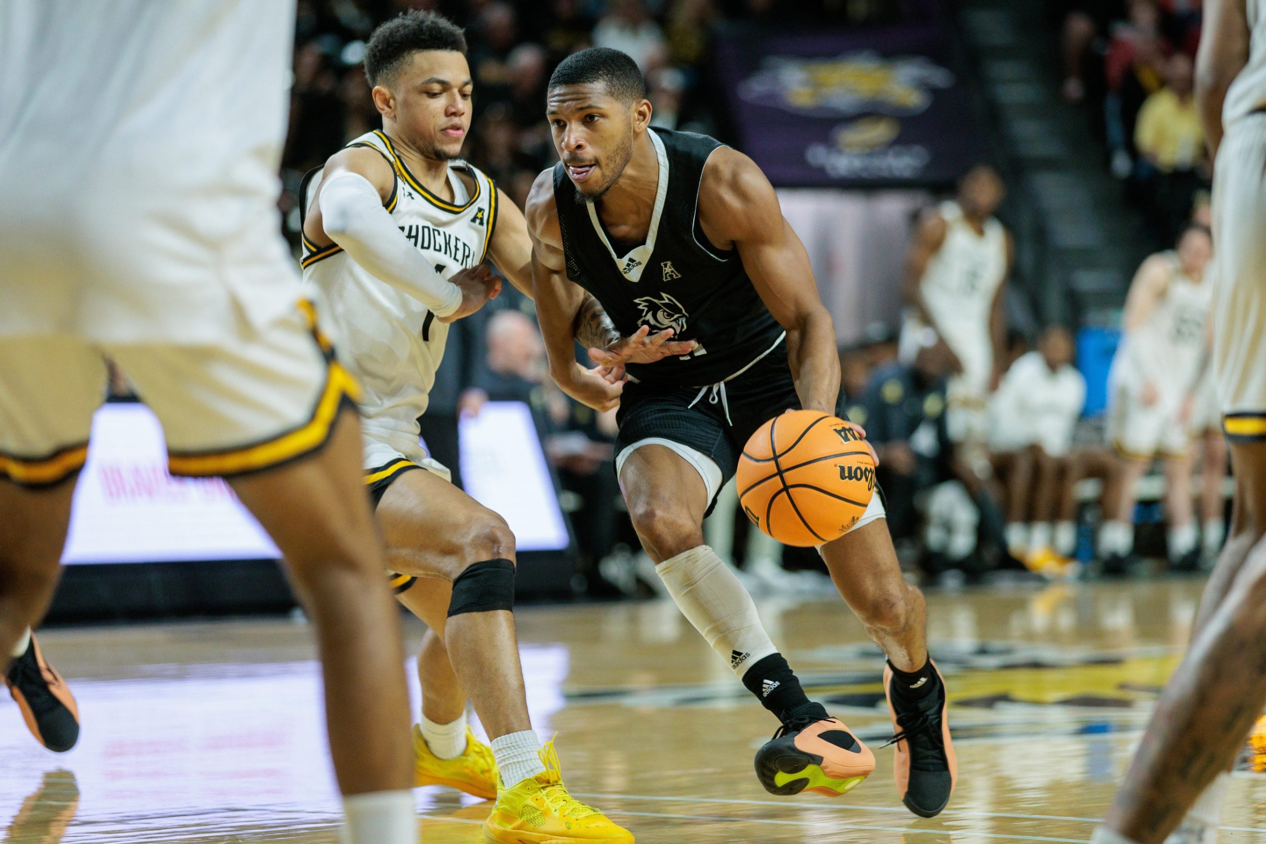 Wichita State Shockers Expected to Dominate Monmouth Hawks in Monday Night Showdown