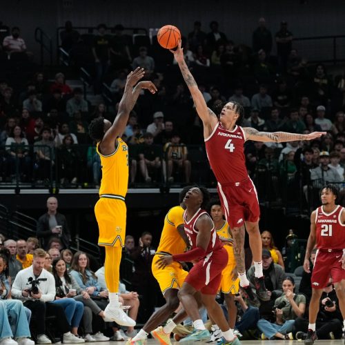 Arkansas Razorbacks Gear Up to Face High-Scoring Pacific Tigers in Challenging Matchup at Bud Walton Arena