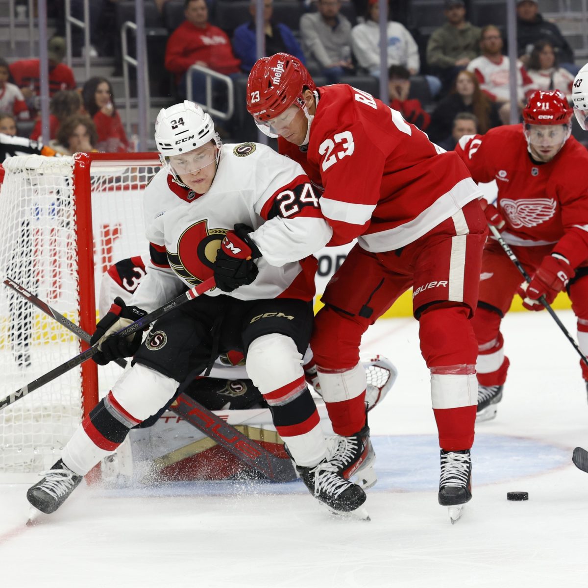 Senators vs Red Wings Prediction and Picks for January 7 2025